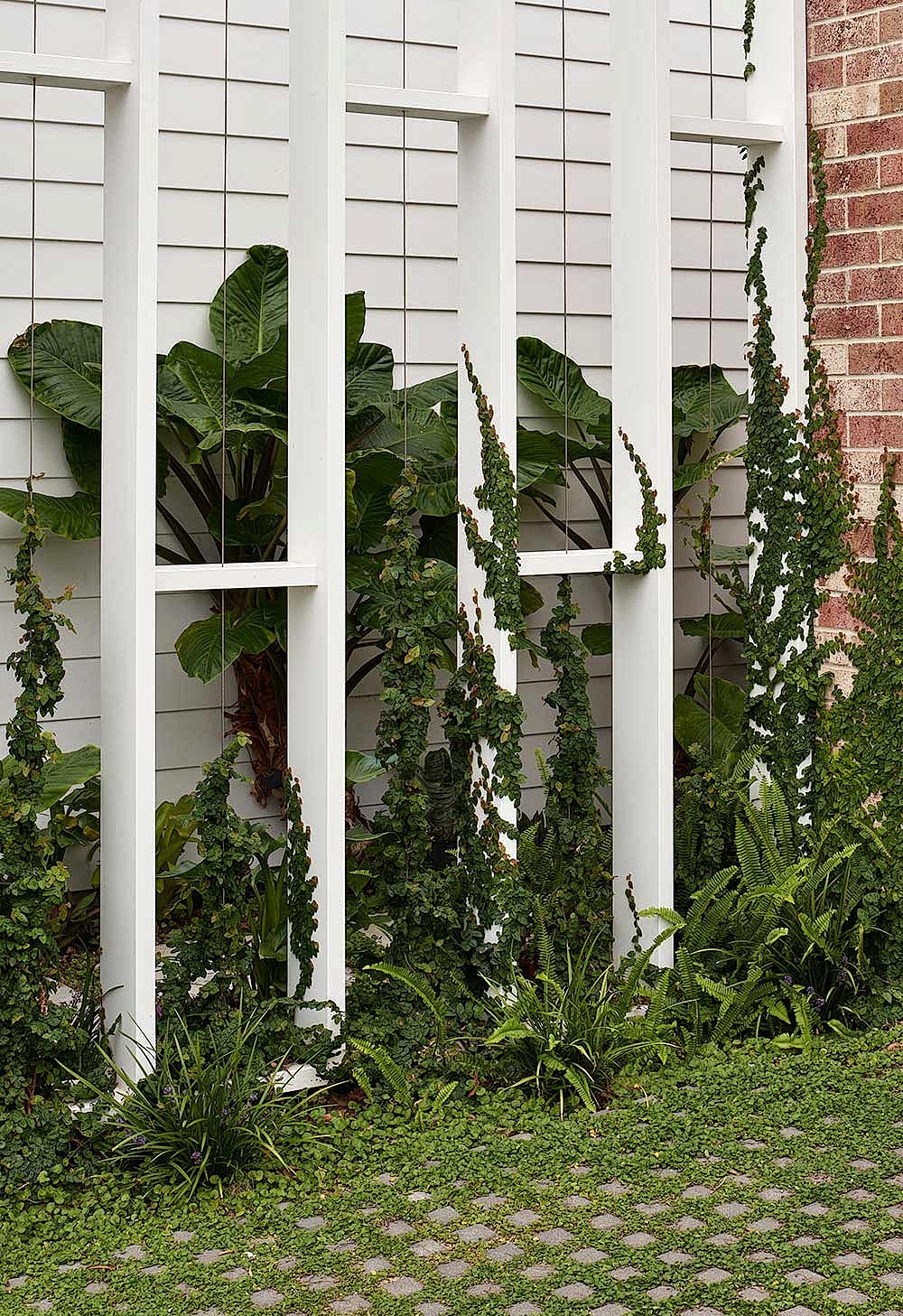 Somerton Park New Build Das Studio Adelaide