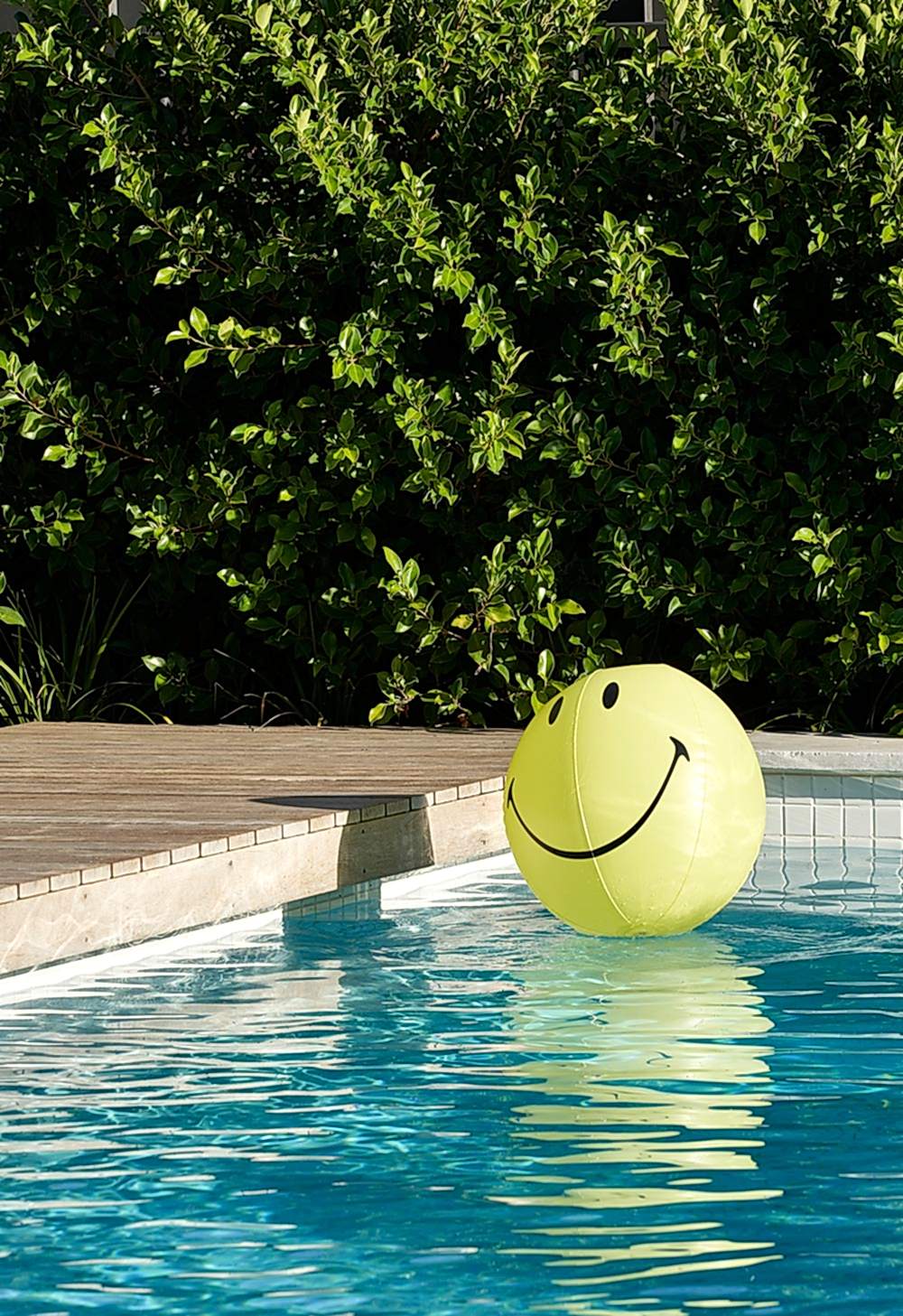 Swoosh House Das Studio Architecture Interior Design Adelaide