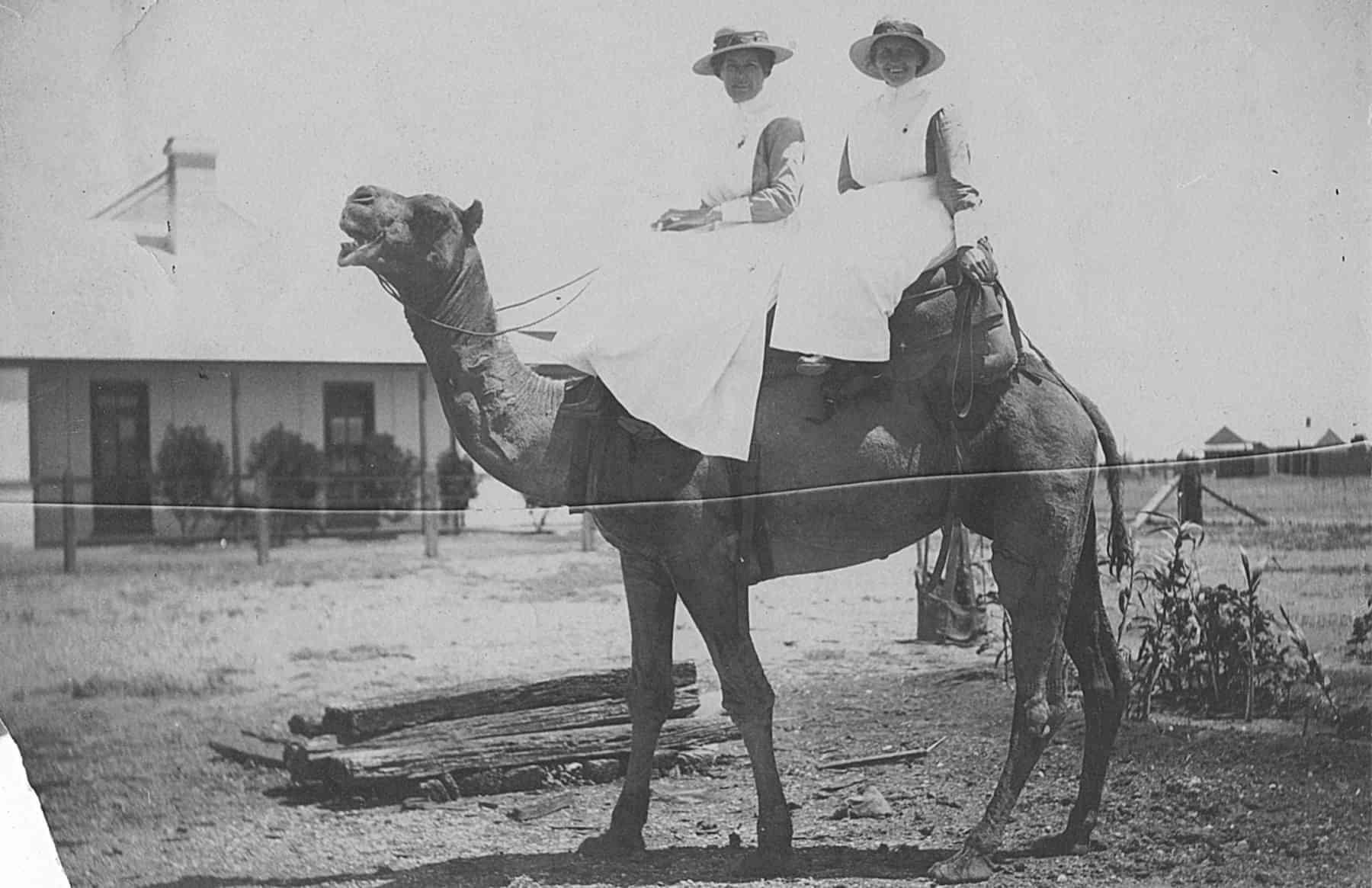 RFDS Marree Health Facility Architecture Das Studio Adelaide