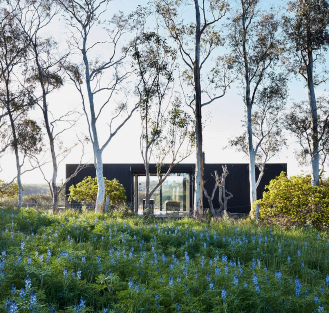 Esca Vineyard Retreat Architecture Adelaide